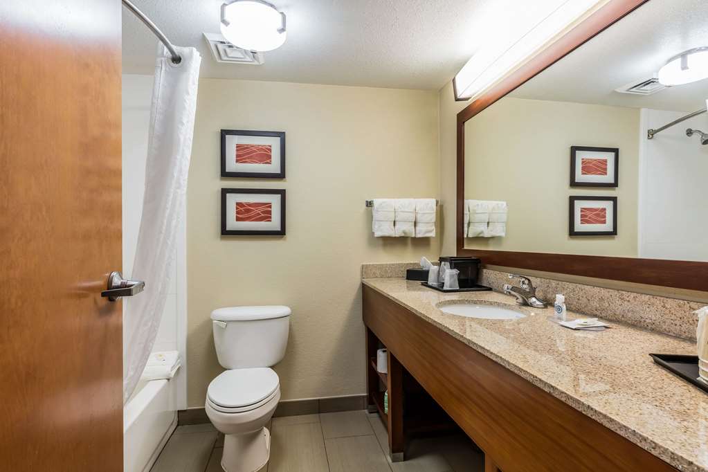 Comfort Inn & Suites Airport American Way - photo 14