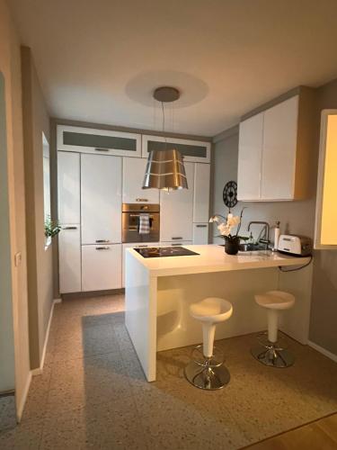 Casa Dísa Apartments A Boutique Guesthouse in Reykjavik City`s Central Park and Botanical Garden in Laugardalur Hot Spring Valley