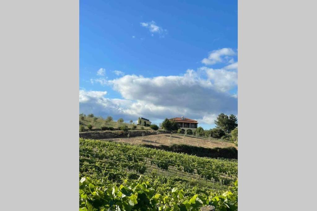 Quinta Da Eira Douro Valley — hotel in Sabrosa