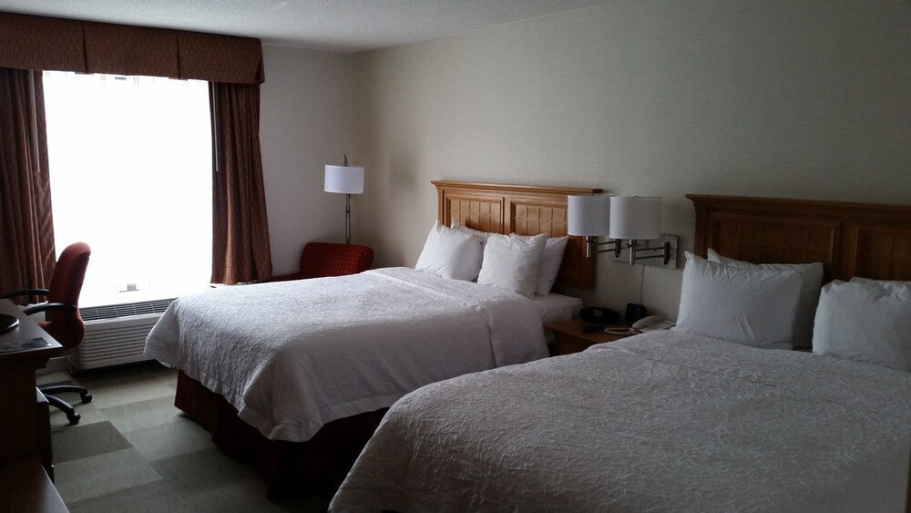 Hampton Inn Cortland - photo 11