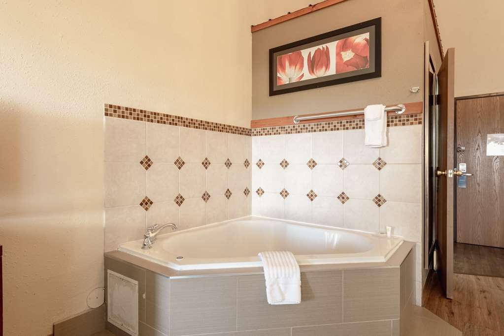 Comfort Inn & Suites Alamosa - photo 72
