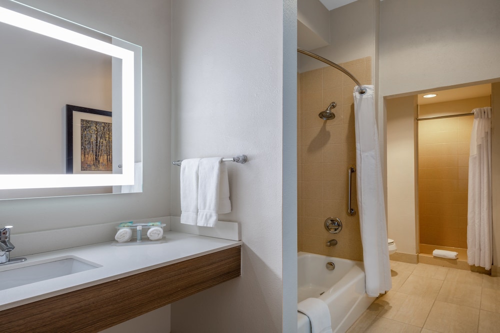 Holiday Inn Express & Suites Dallas East Fair Park by IHG - photo 18