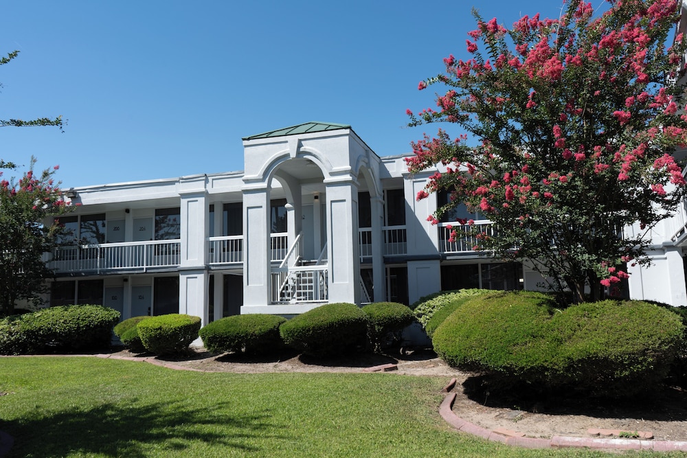 Oneway Savannah - photo 19