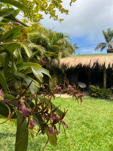 Pousada Vila Piola in Palhoca, Brasil