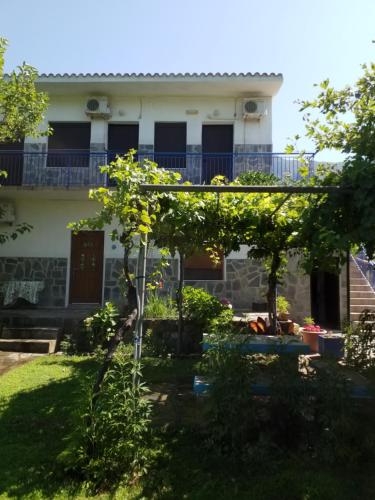 Athanasios Stafylas in Samothraki, Greece