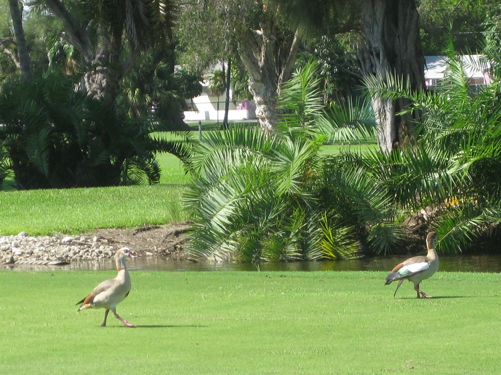 Hollywood Beach Golf Resort - photo 11