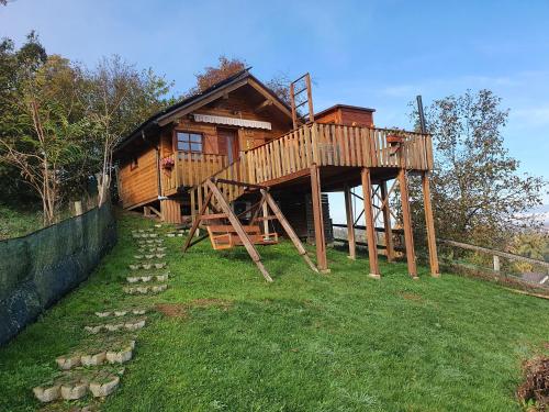 Gnezdo Vid ik in Brezice, Slovenia