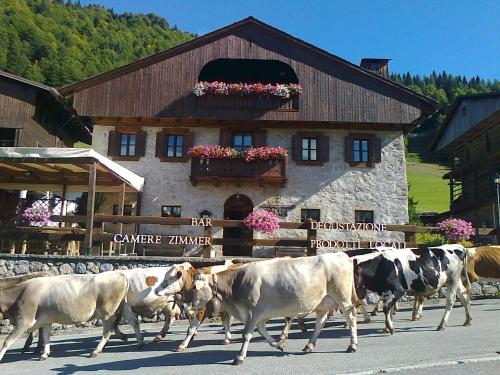 Pa' Krhaizar — hotel in Sauris Di Sotto