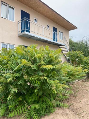 Kubat in Unknown City, Kyrgyzstan