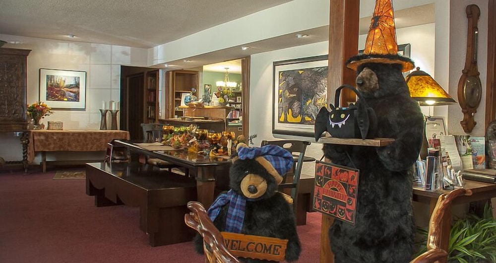 Harmony Ridge Lodge - photo 20