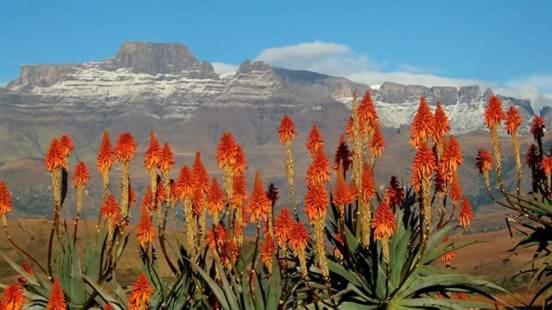 Berg Treat - last minute hotel in Polokwane