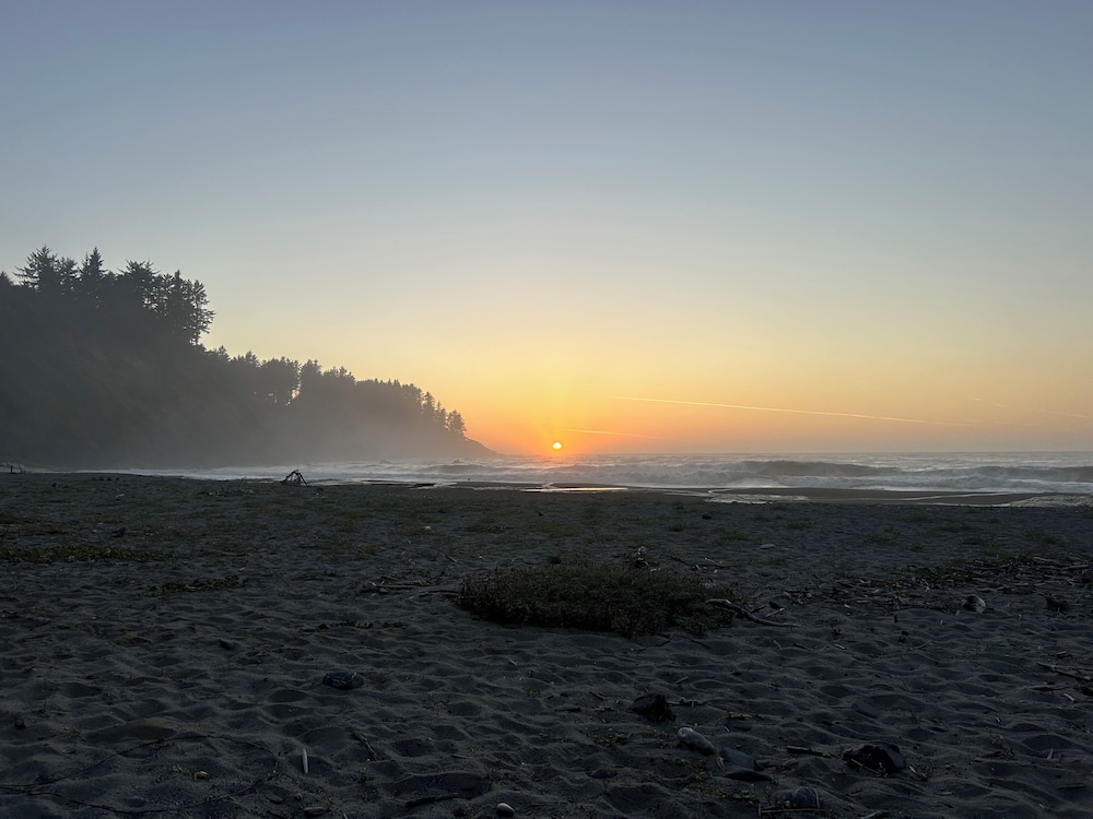 The Pinc - photo 58