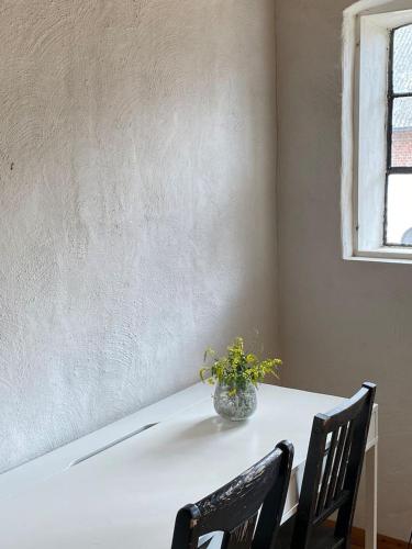 ÖsterlenUpplevelser i Gladsax Marielund — Simrishamn — photo 3