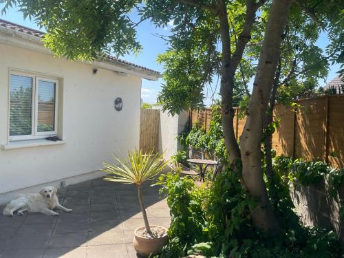 To The Beach in Unknown City, Republic of Ireland