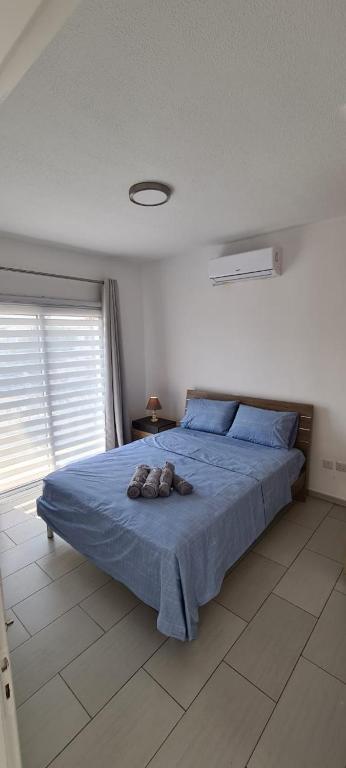 Lovely 1betroom apartment near the beach