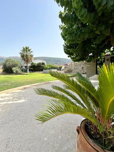 Ktimaoliva1 — Nafpaktos — photo 3