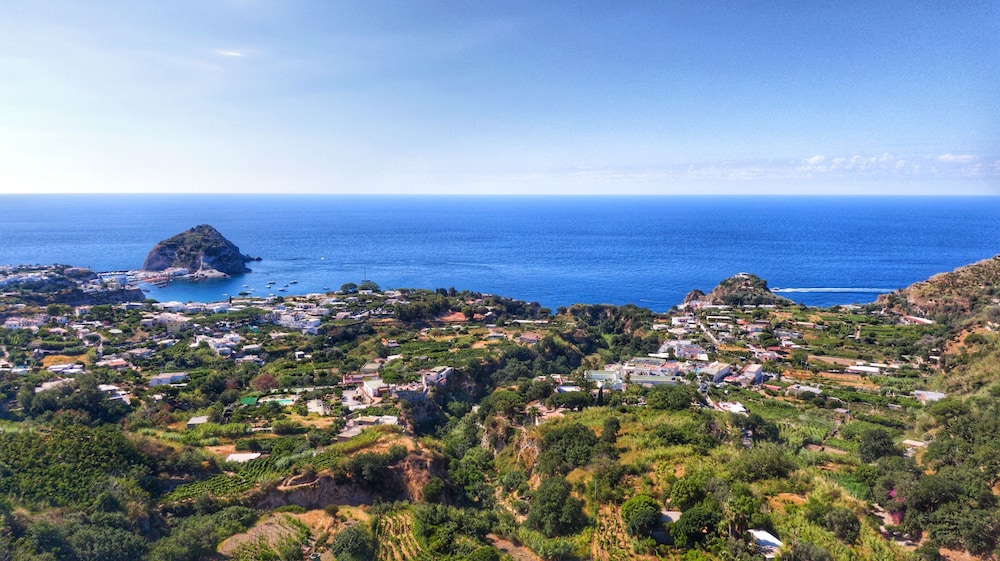 Hotel Bellavista - last minute hotel in Ischia