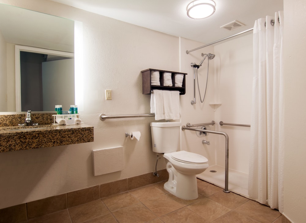 Holiday Inn Express Hotel & Suites Spence Lane by IHG - photo 11