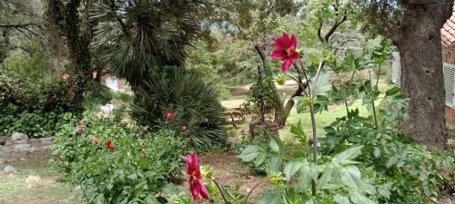 Faraway’s Bed & Breakfast — Los Cocos — photo 2