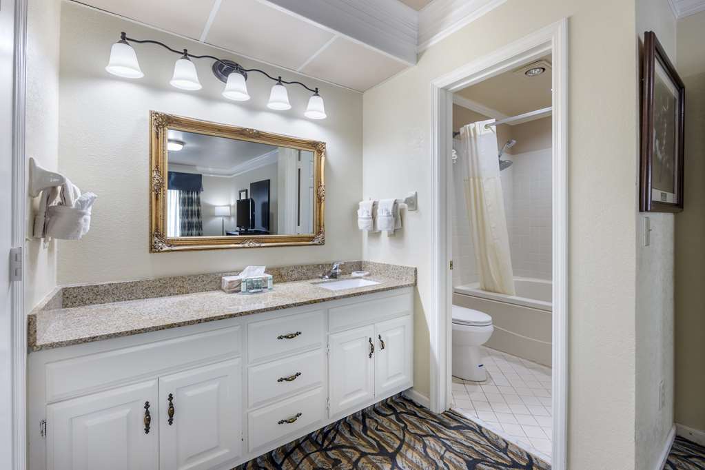 Best Western Spring Hill Inn & Suites - photo 24