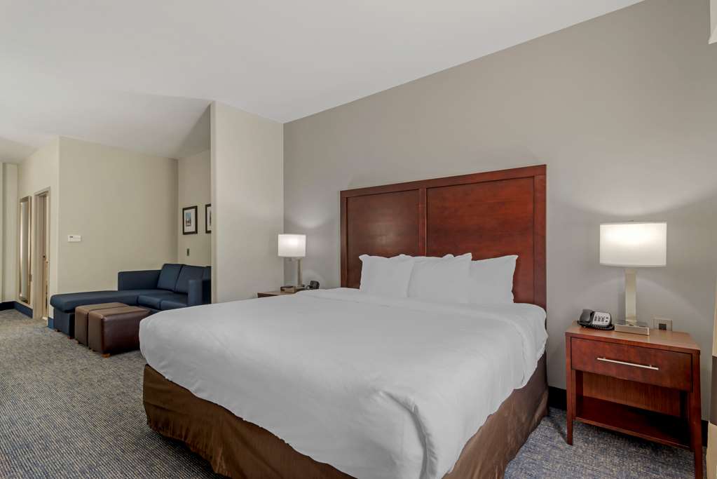 Comfort Suites Stockbridge Atlanta South - photo 32