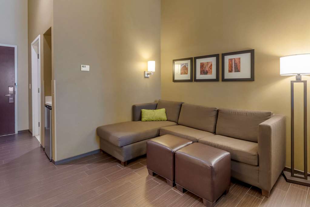Comfort Suites St George University Area - photo 24