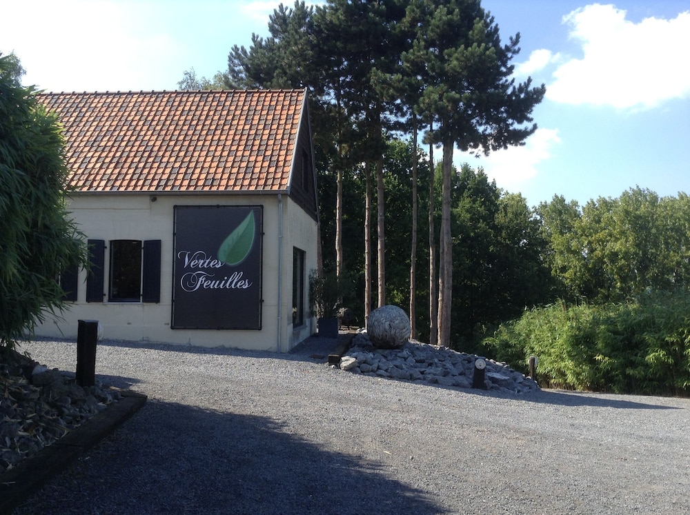 Vertes Feuilles — Ronse