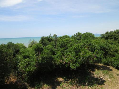 Italian Experience Giannella Holiday Apartament — Orbetello — photo 3