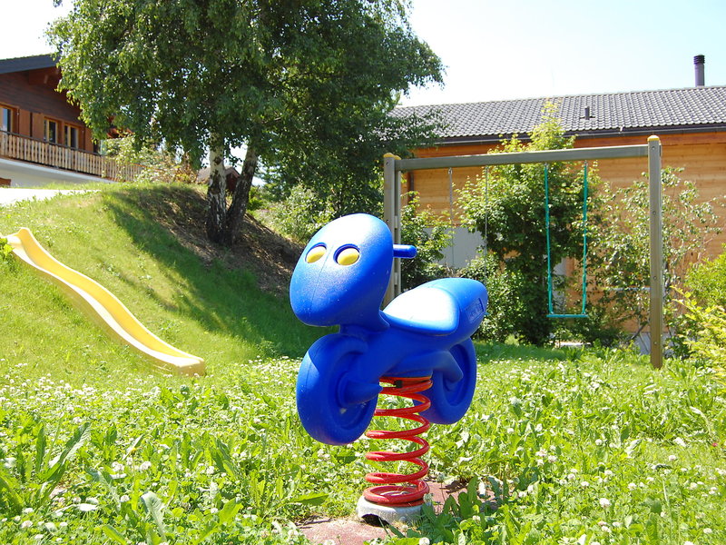 Colorado Inh 26544 in Basse-Nendaz, Switzerland