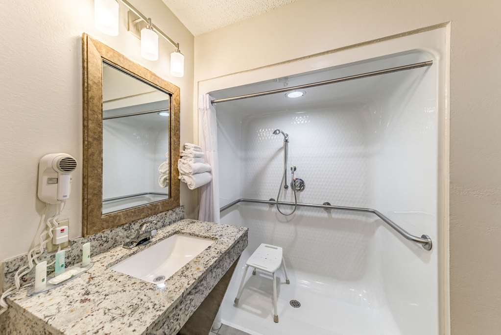 Quality Inn Allen Plano East - photo 14