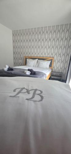 Panorama Budești - carbon neutral hotel in Budesti
