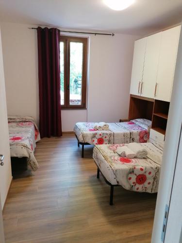Le camelie — Polverara — photo 3