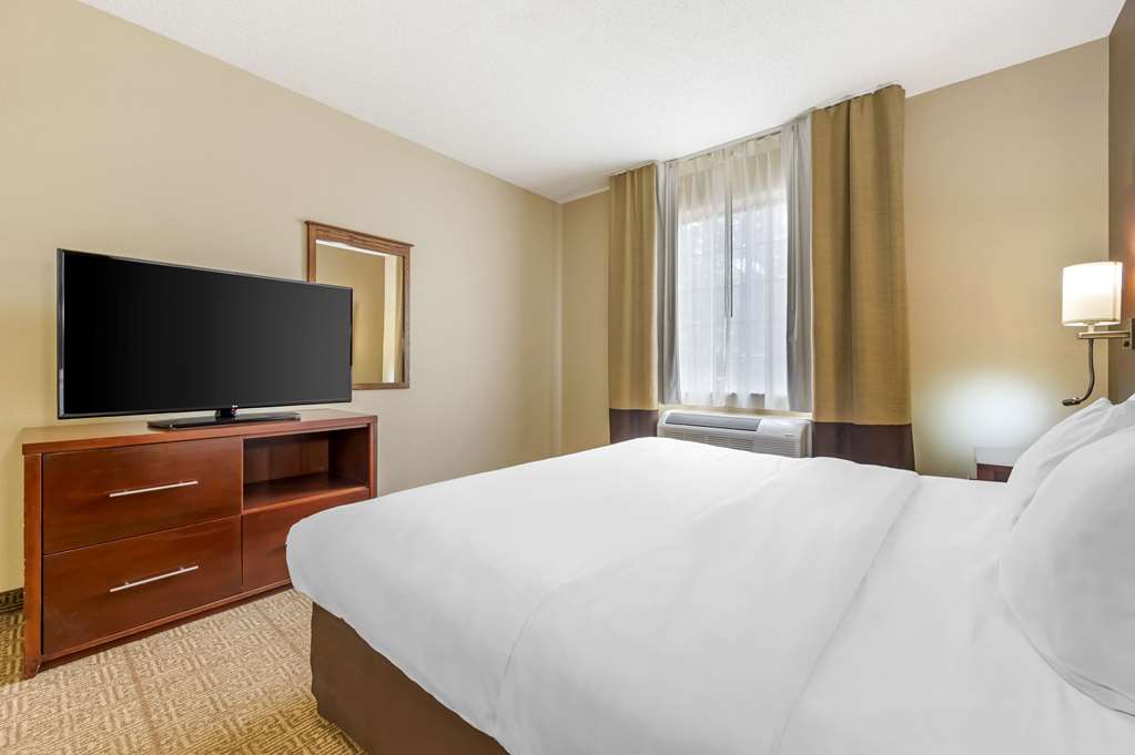 Comfort Suites Castle Rock - photo 8
