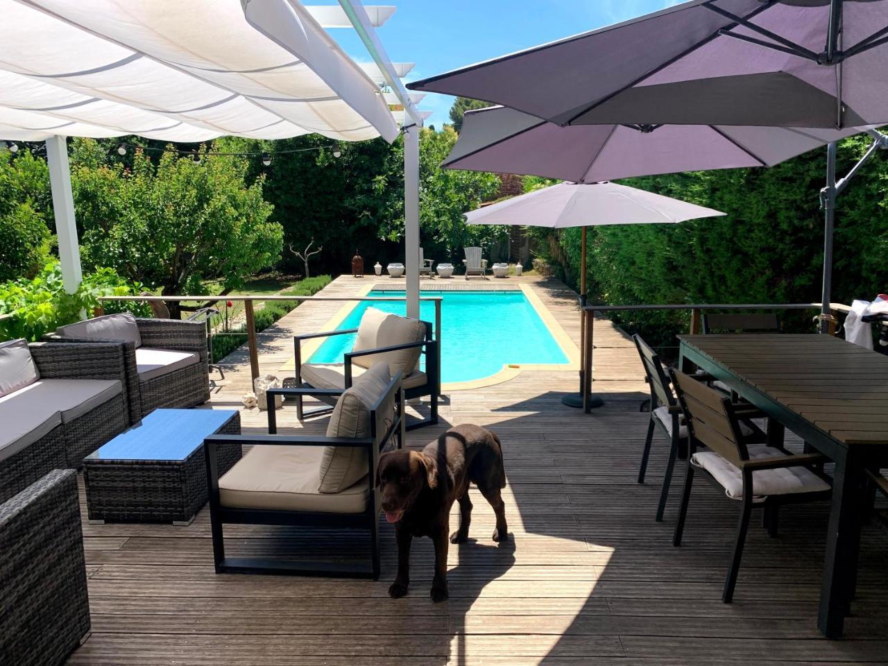Cannes Charming Villa Private Pool Total Privacy 1 7 Kms From Beaches — Le Cannet — photo 2