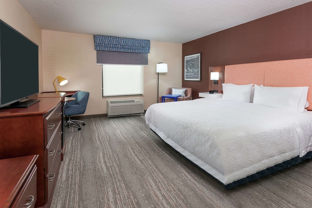 Hampton Inn Springfield South Enfield - photo 16