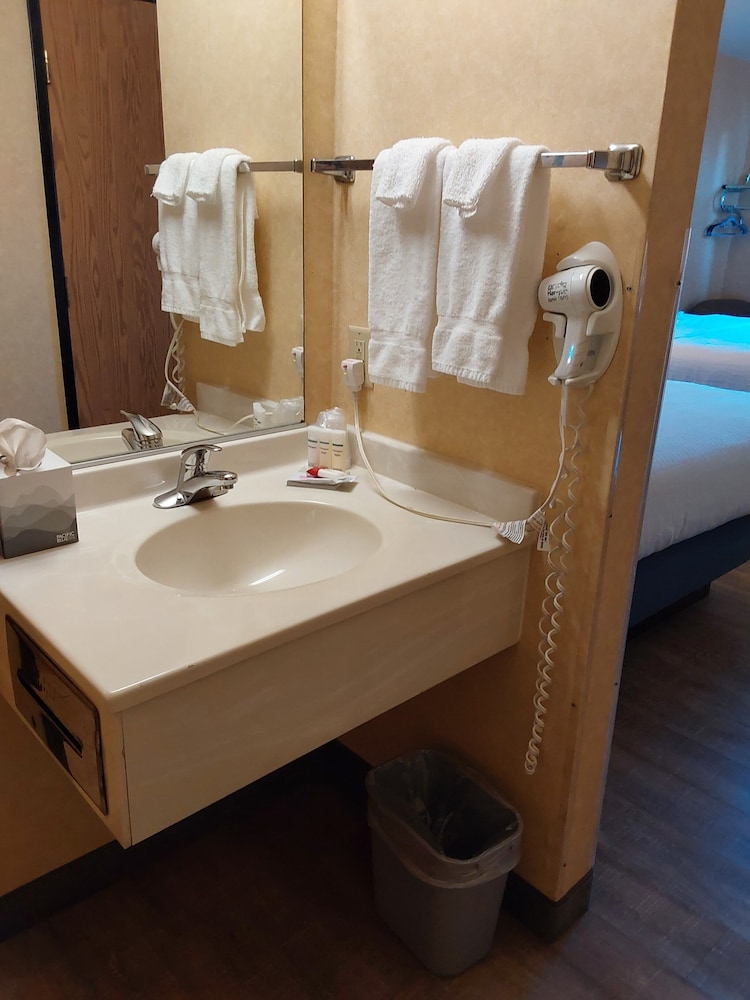 Lavissh Inn & Suites - photo 19