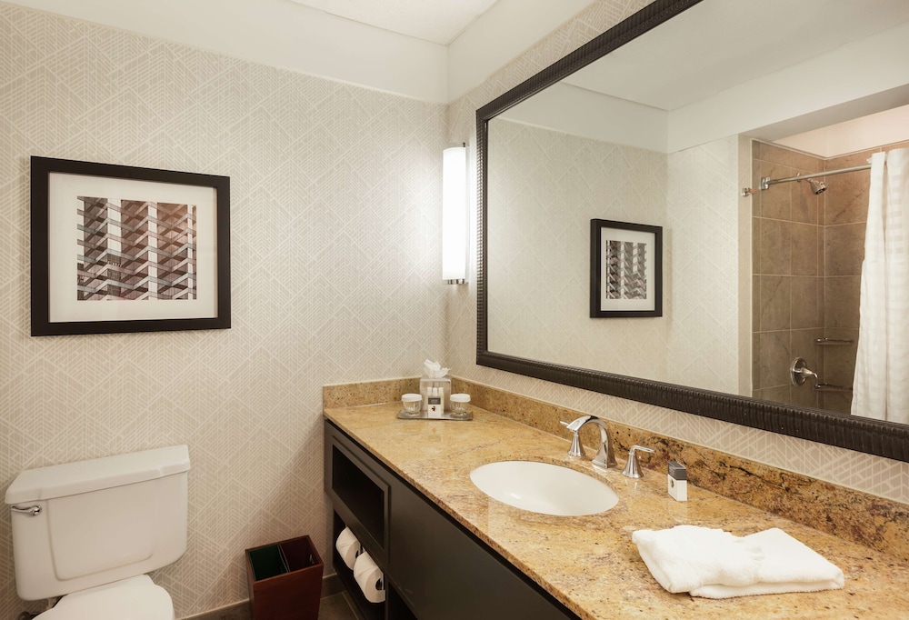 DoubleTree by Hilton Hotel & Suites Houston by the Galleria - photo 36