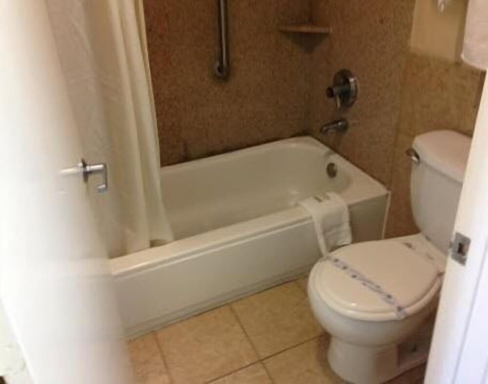 Downtowner Inn and Suites Hobby - photo 10