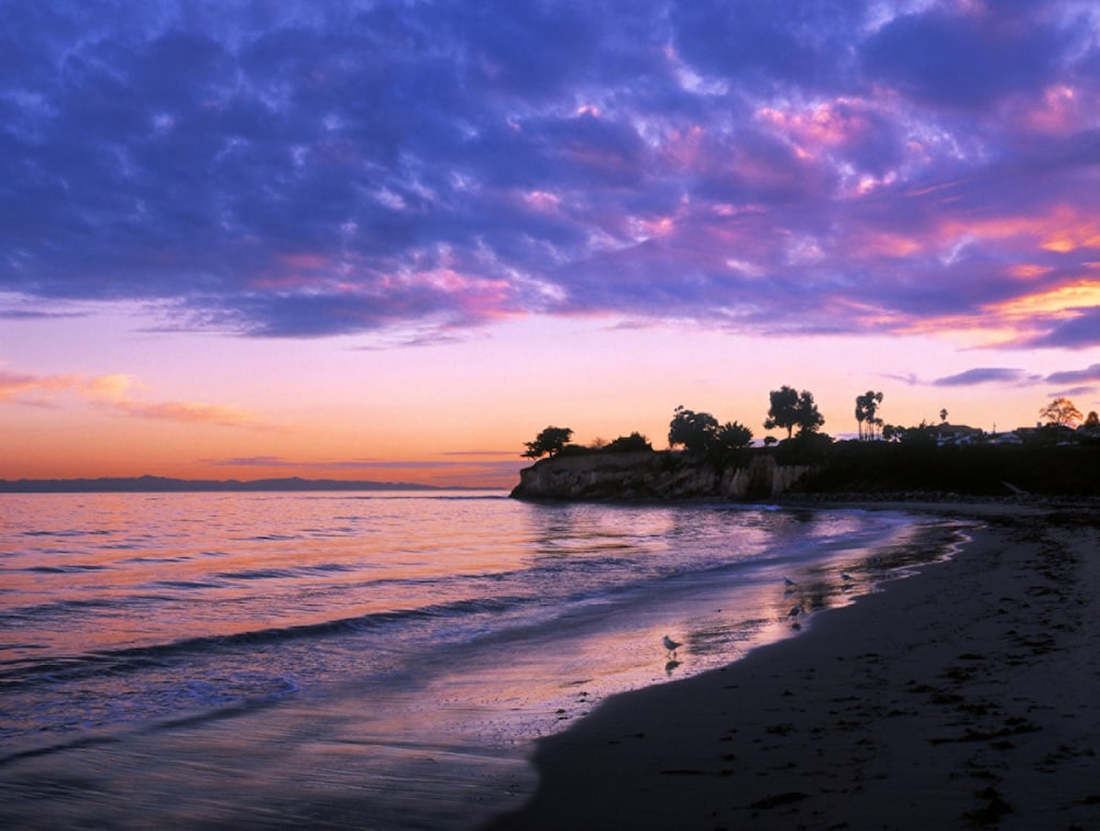Four Seasons Resort The Biltmore Santa Barbara - photo 66