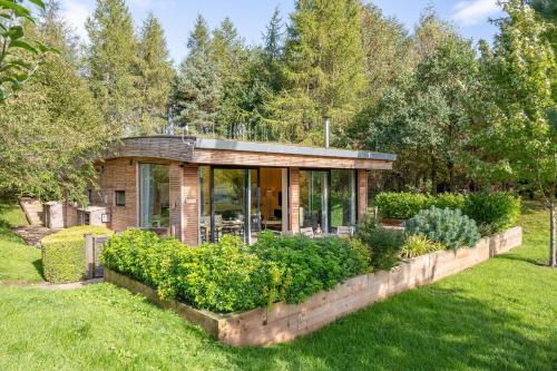 Percy in Richmond, United Kingdom