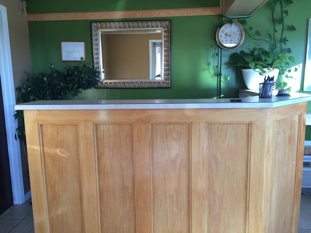 Alamo Motel - photo 4