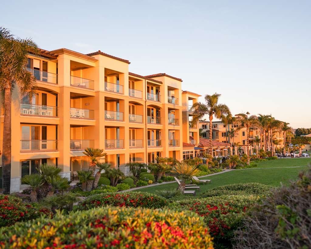 Dolphin Bay Resort And Spa - photo 7