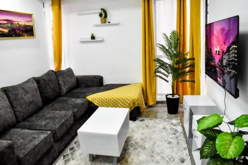 Magic Homes