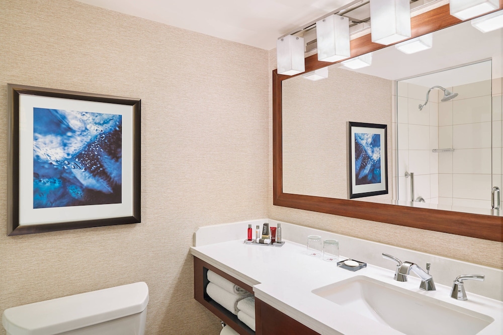 Marriott Chicago O'Hare - photo 42