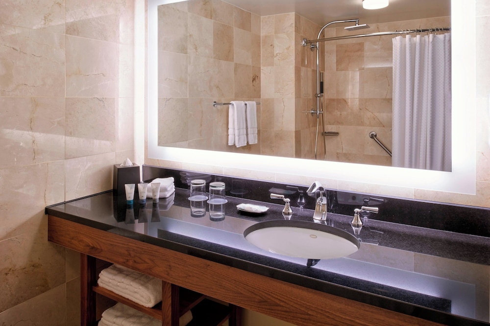 The Westin Detroit Metropolitan Airport - photo 12