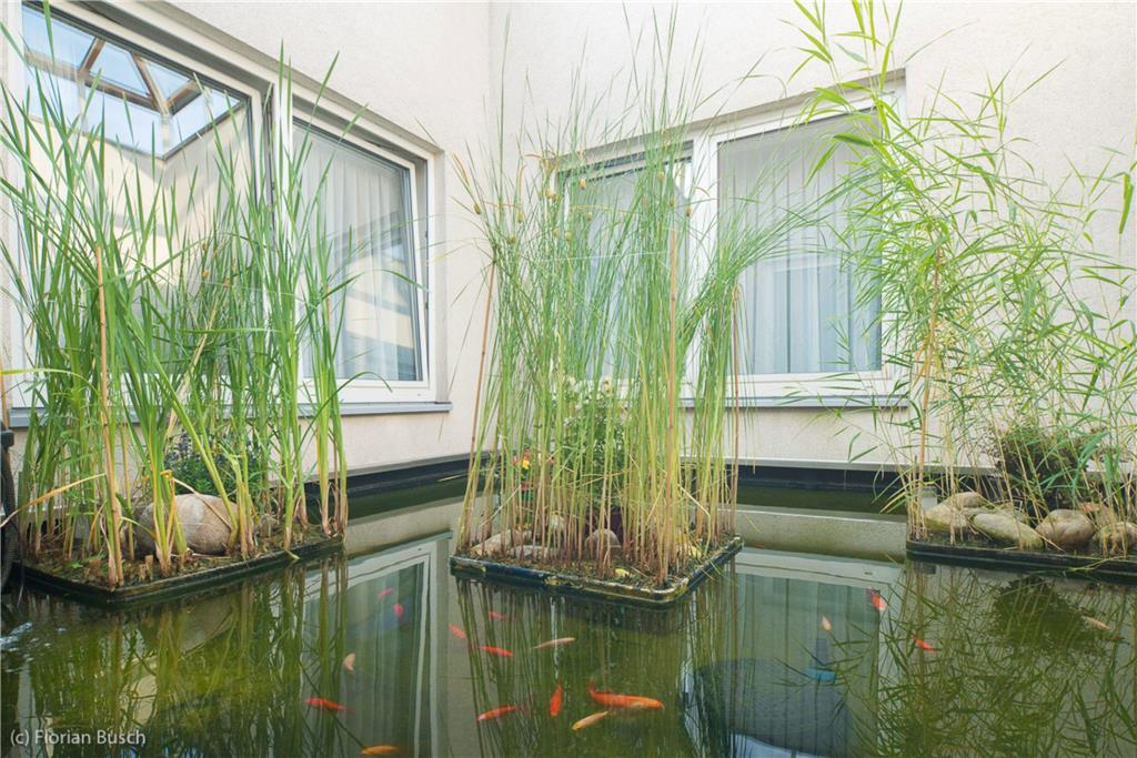 Recreational facility