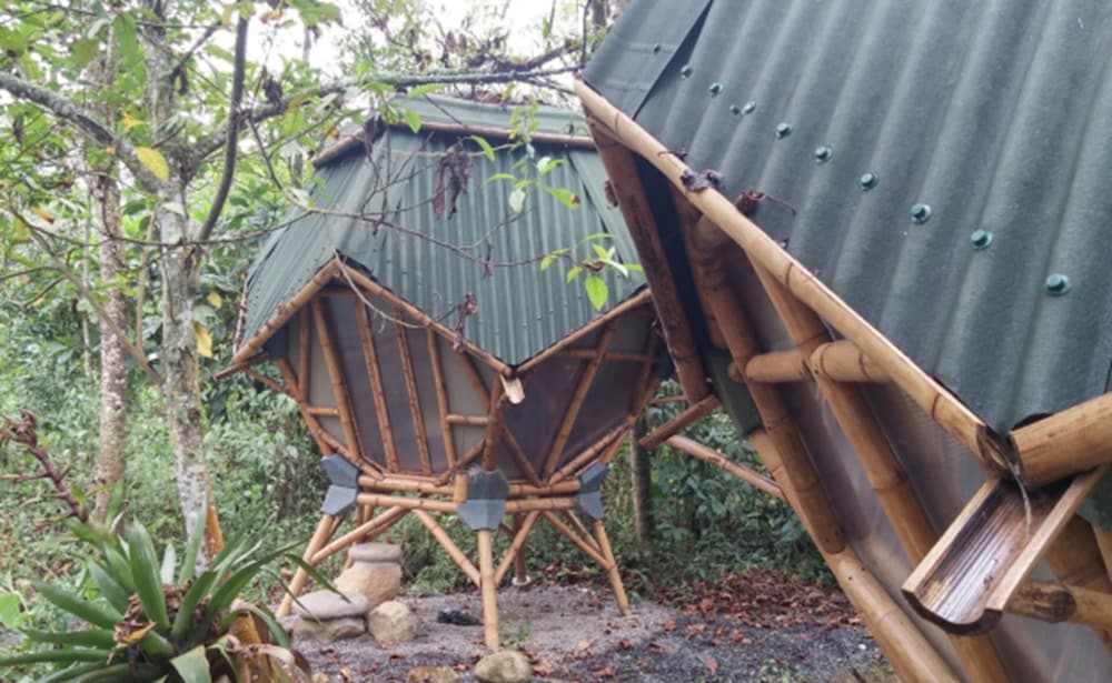 Kasaguadua Reserva Natural in Salento, Colombia