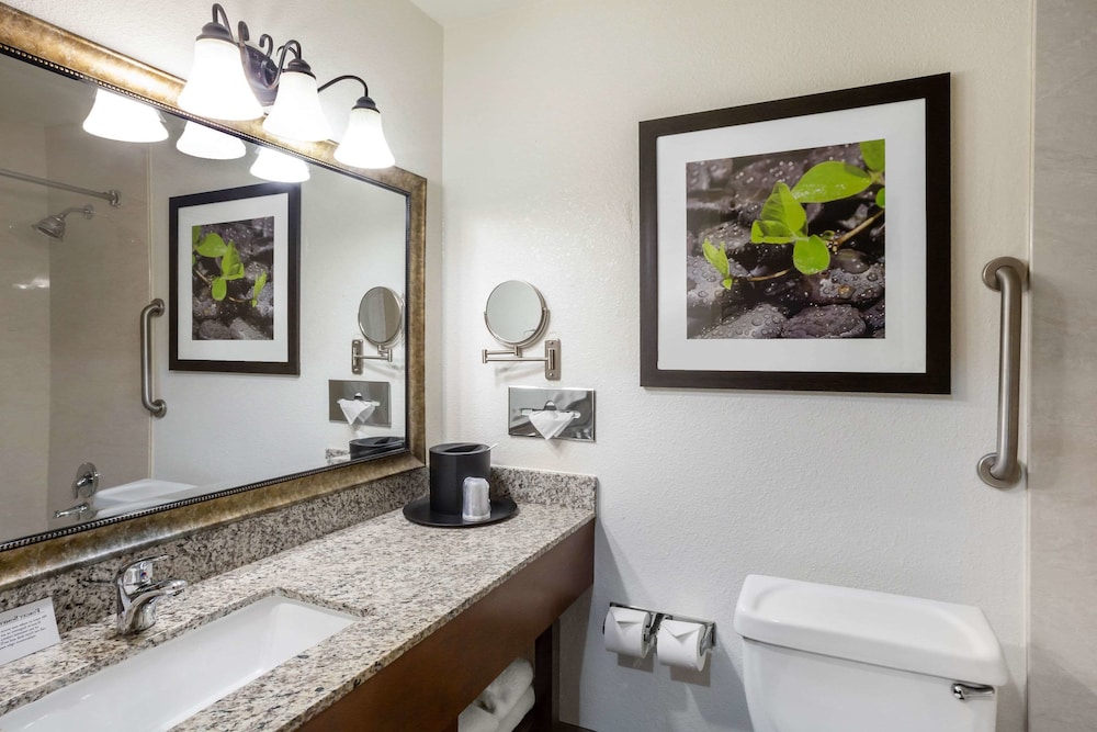 Comfort Inn Castro Valley - photo 15