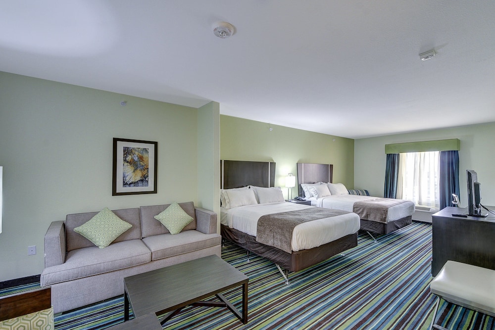 Holiday Inn Express & Suites Carrizo Springs by IHG - photo 5