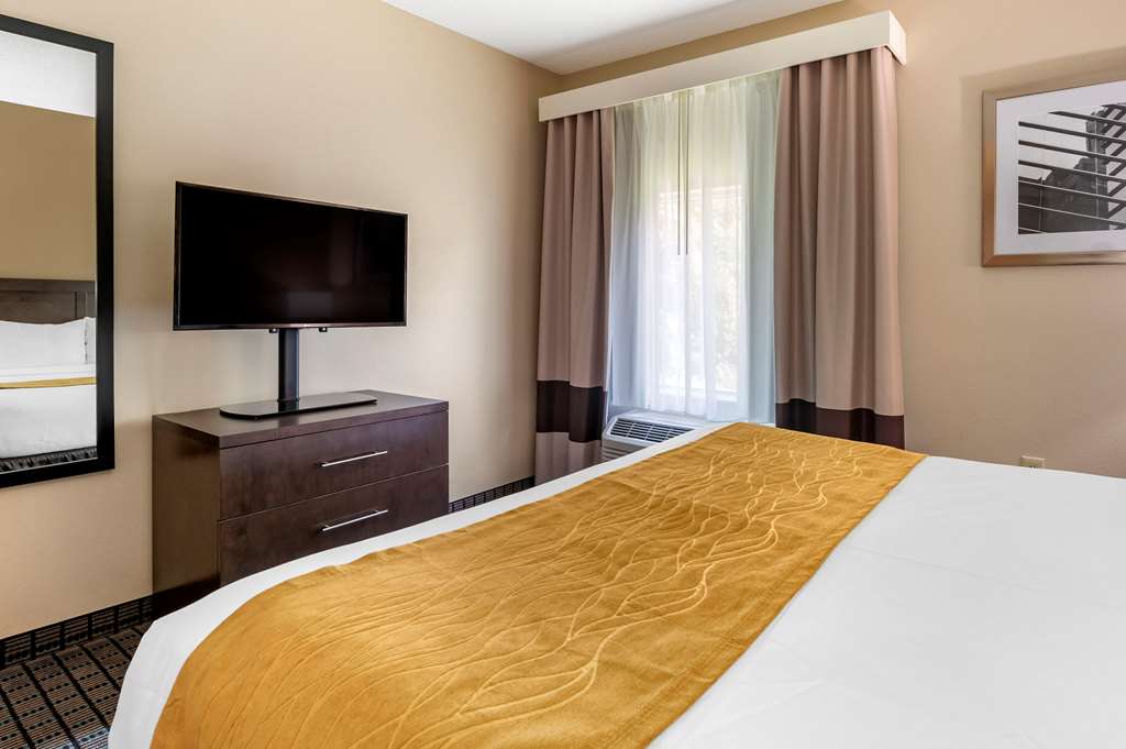 Comfort Inn & Suites Cincinnati Uptown Clifton - photo 17